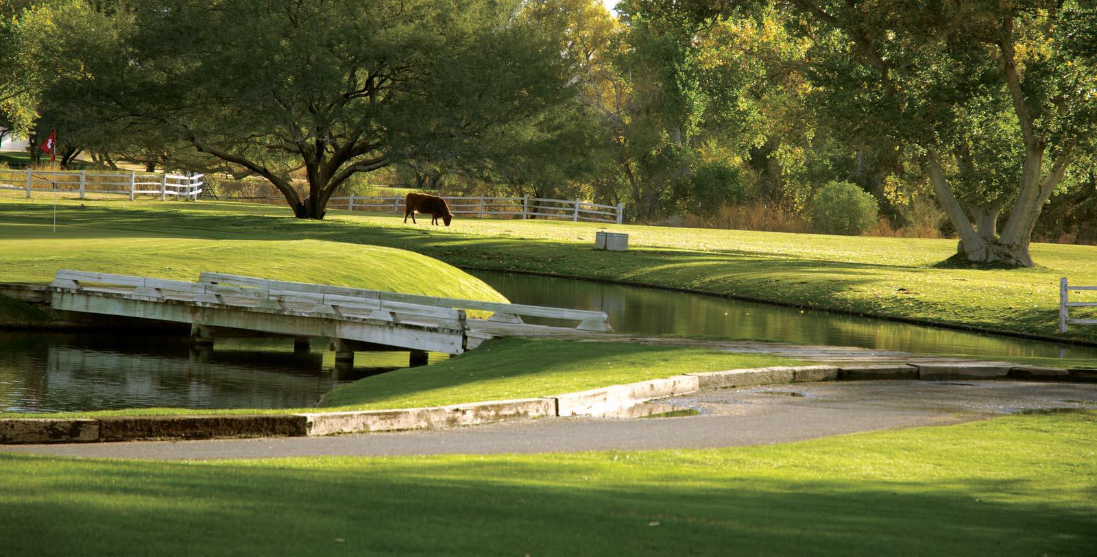 Image of golf course Tubac Golf Resort and Spa, 1959, Member of Historic Hotels of America, in Tubac, Arizona,Hot Deals